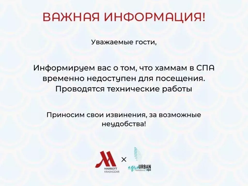 2-к кв. Краснодарский край, Краснодар Красная ул., 120 (58.0 м) - Фото 2