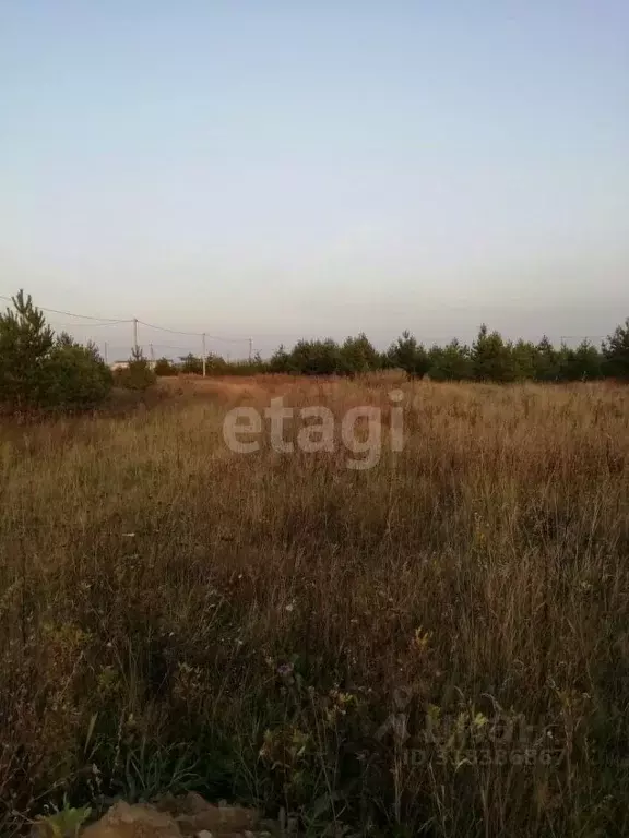 Участок в Курганская область, Шадринский муниципальный округ, с. Ключи ... - Фото 1