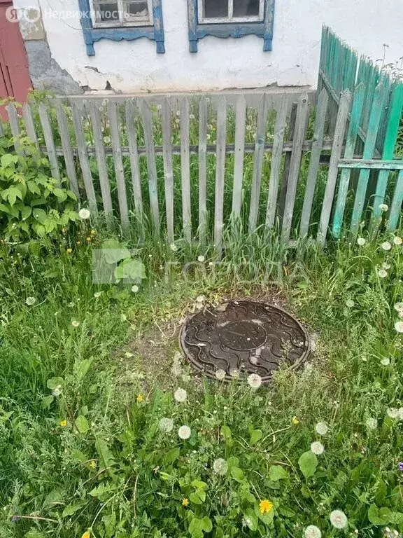 Дом в Новосибирск, улица Карла Либкнехта, 73 (24.2 м) - Фото 1