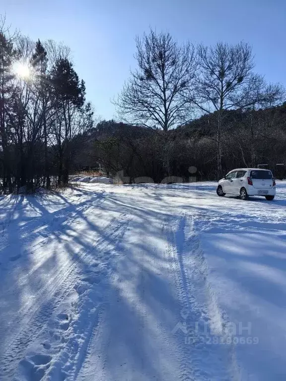 Участок в Амурская область, Благовещенск городской округ, с. Белогорье ... - Фото 2