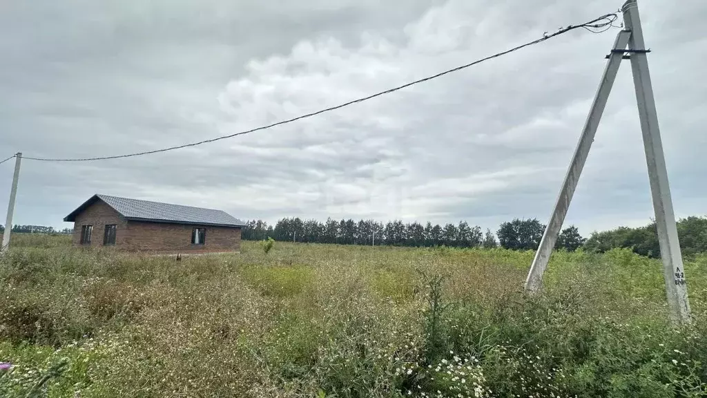 Участок в Башкортостан, Аургазинский район, с. Толбазы ул. Рябиновая ... - Фото 1