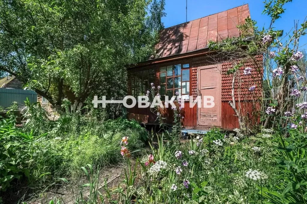 Дом в Новосибирская область, Новосибирск Ракета садовое товарищество, ... - Фото 0