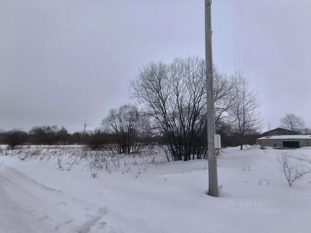 Участок в Амурская область, Благовещенский район, с. Усть-Ивановка ... - Фото 2