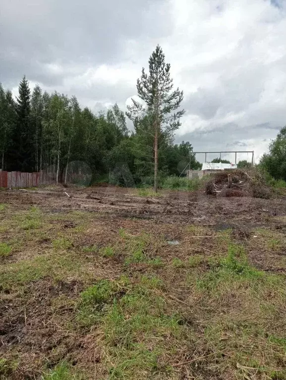 Участок 9 сот. (СНТ, ДНП) - Фото 0