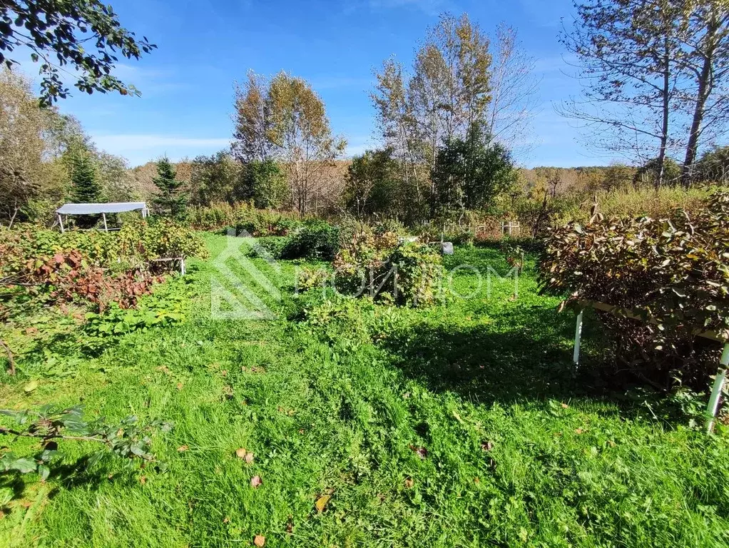 Участок в Сахалинская область, Долинск Курильская ул., 5 (16.73 сот.) - Фото 1