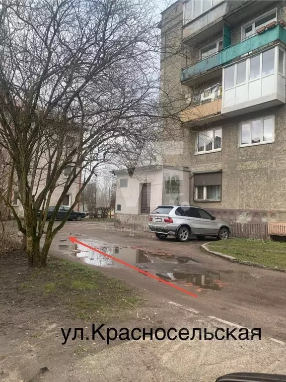 Помещение свободного назначения в Калининградская область, Калининград ... - Фото 1
