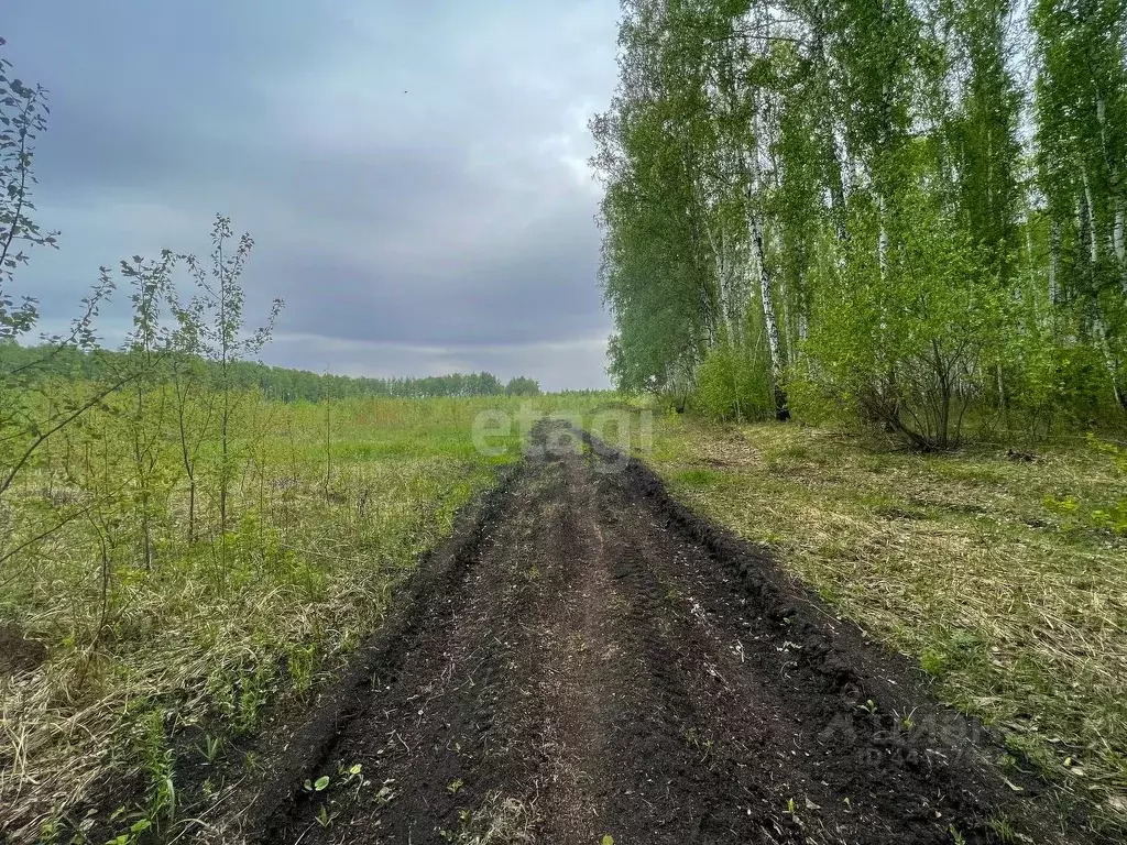 Купить Участок В Снт Урал Челябинск Кременкуль