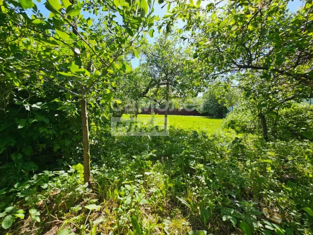 Участок в Московская область, Ленинский городской округ, д. Ащерино ... - Фото 2