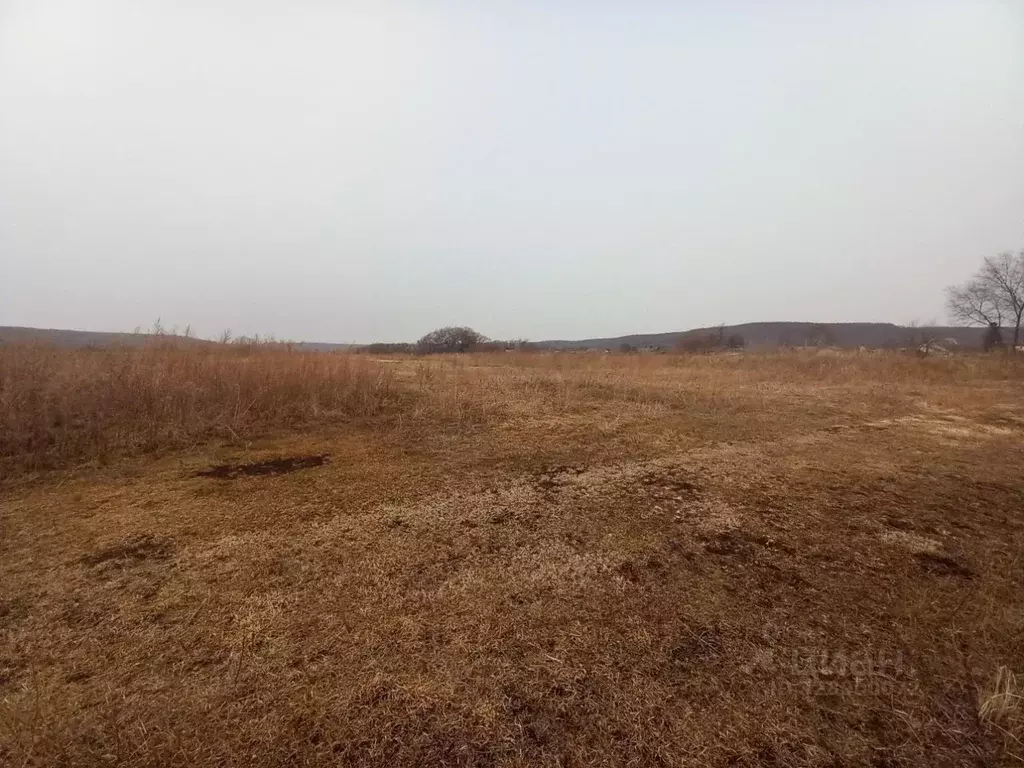 Участок в Приморский край, Уссурийский городской округ, с. Кроуновка  ... - Фото 2