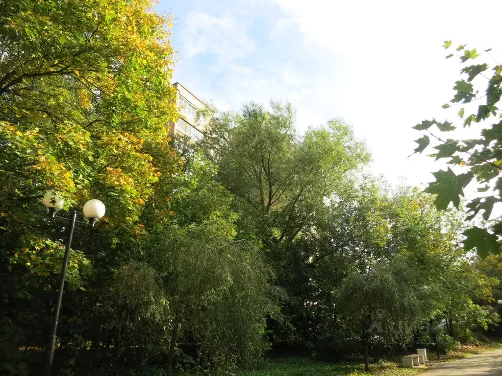 3-к кв. Московская область, Мытищи ул. Семашко, 6к3 (61.8 м) - Фото 2