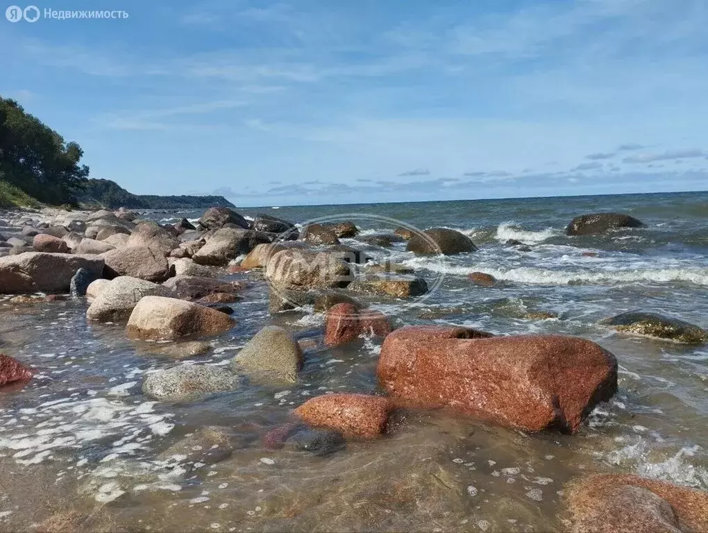 Участок в посёлок Приморье, Берёзовая улица, 25 (8 м) - Фото 2