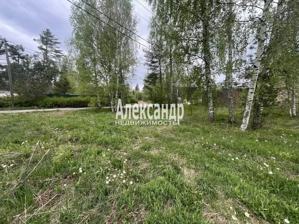 Участок в Ленинградская область, Приозерский район, Громовское с/пос, ... - Фото 1