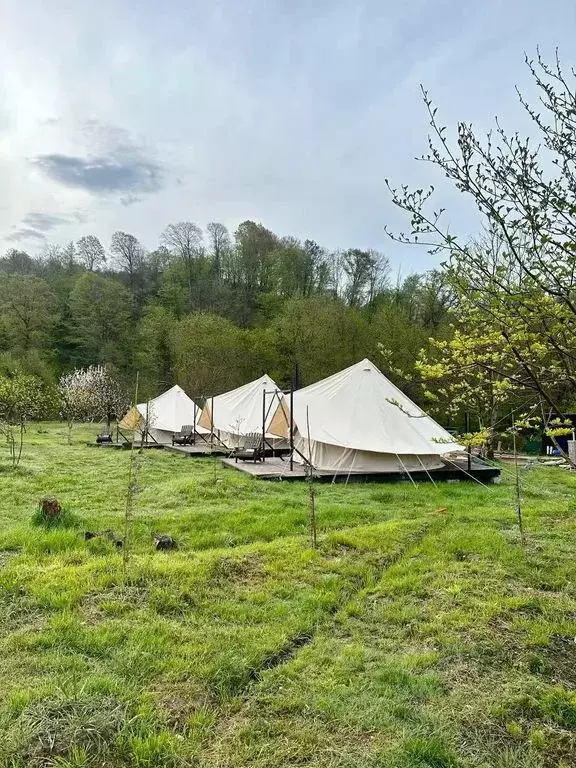 Дом в Краснодарский край, Сочи городской округ, с. Верхнеякорная Щель ... - Фото 1