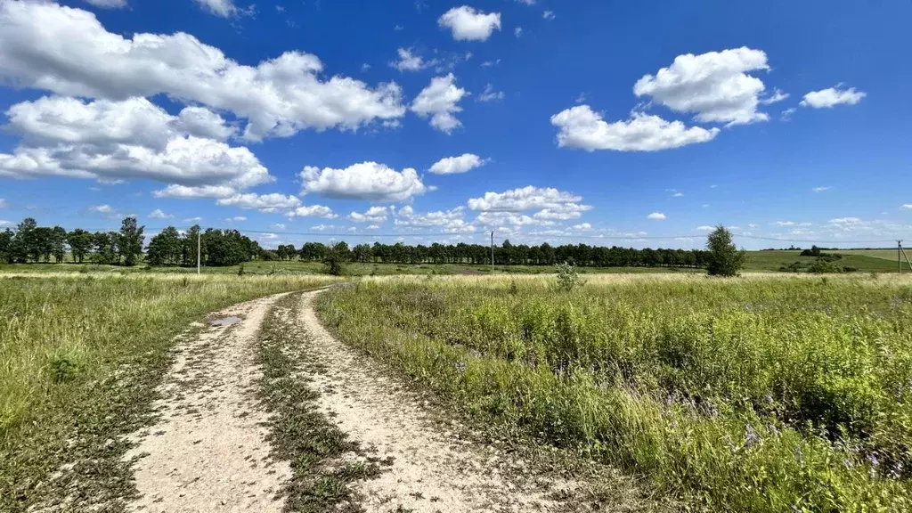 Участок в Тульская область, Заокский район, Демидовское с/пос, с. ... - Фото 2