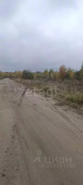 Участок в Брянская область, Брянск Фосфоритная ул. (1400.0 сот.) - Фото 1