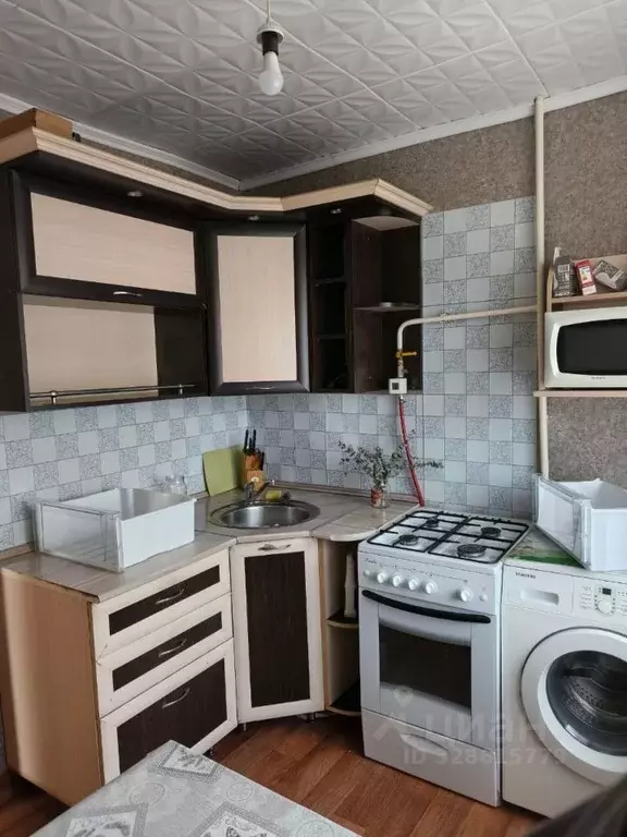 1-к кв. Алтайский край, Барнаул Брестская ул., 6 (33.0 м) - Фото 2