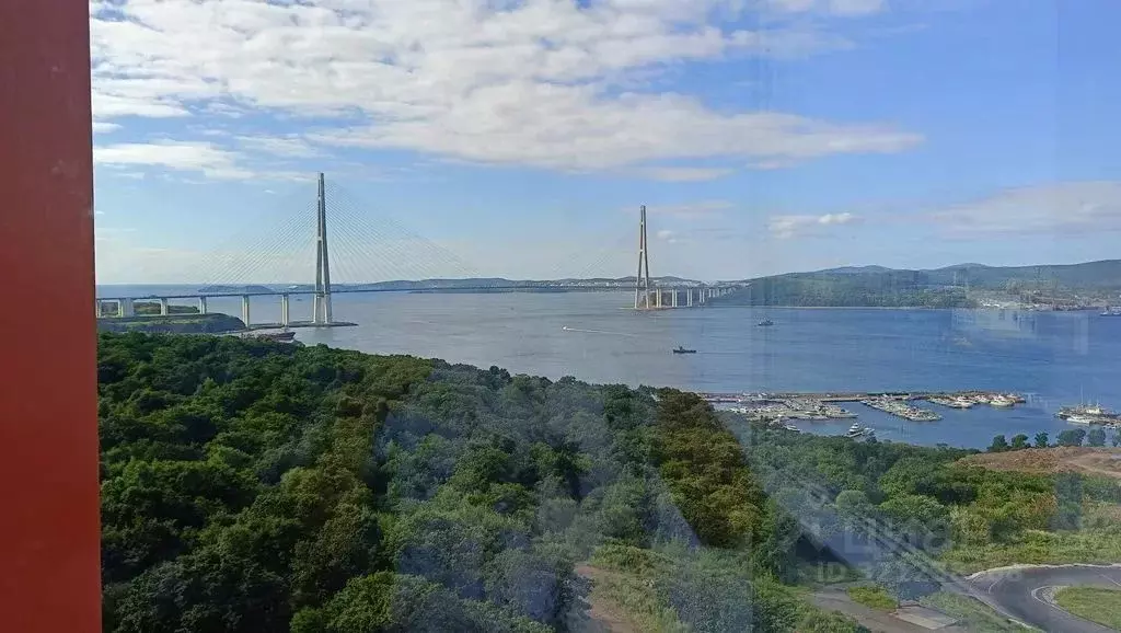 Студия Приморский край, Владивосток ул. 3-я Поселковая, 22к2 (30.0 м) - Фото 1