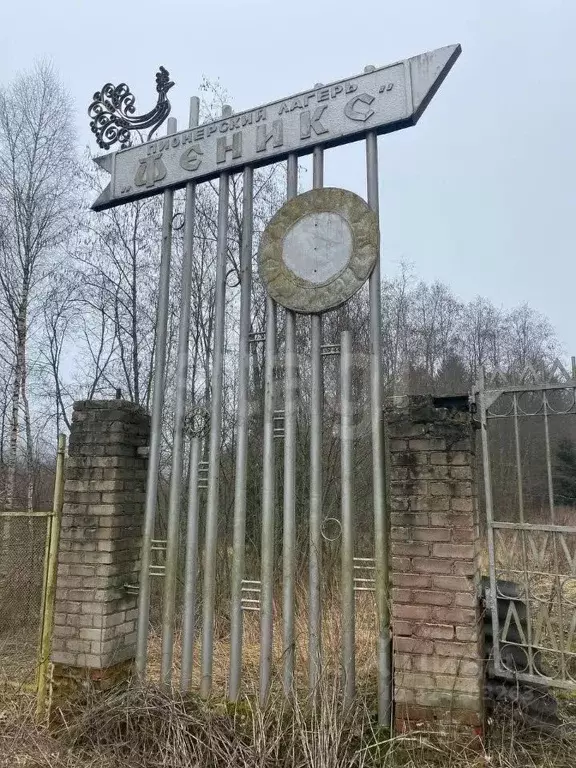 Участок в Смоленская область, Кардымовский муниципальный округ, д. ... - Фото 1