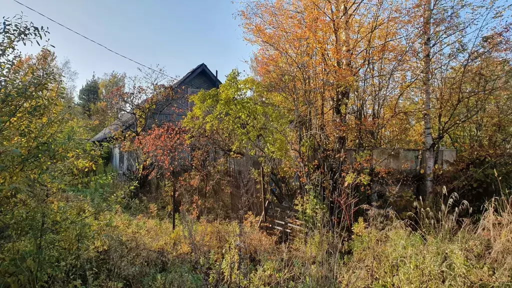 Дом в Ленинградская область, Гатчинский муниципальный округ, Вырица ... - Фото 1