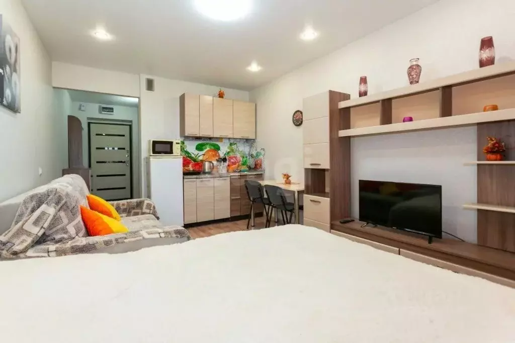 Студия Новосибирская область, Новосибирск ул. Забалуева, 102 (23.0 м) - Фото 1