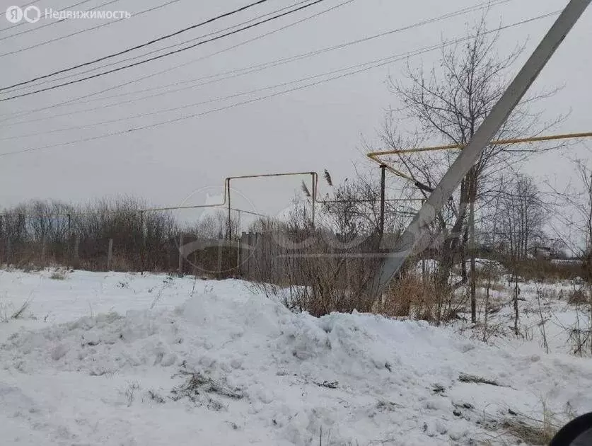 Участок в Ялуторовский район, село Киева (10 м) - Фото 0