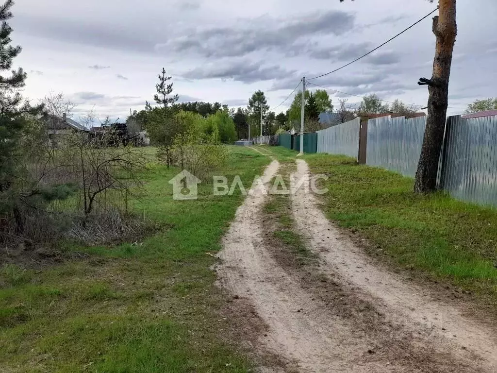 Участок в Владимирская область, Судогодский район, Вяткинское ... - Фото 0