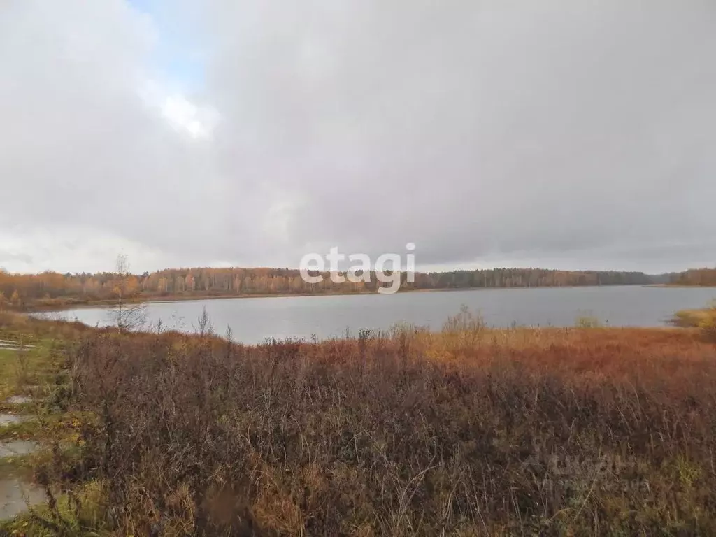 Участок в Владимирская область, Петушинское муниципальное образование, ... - Фото 1
