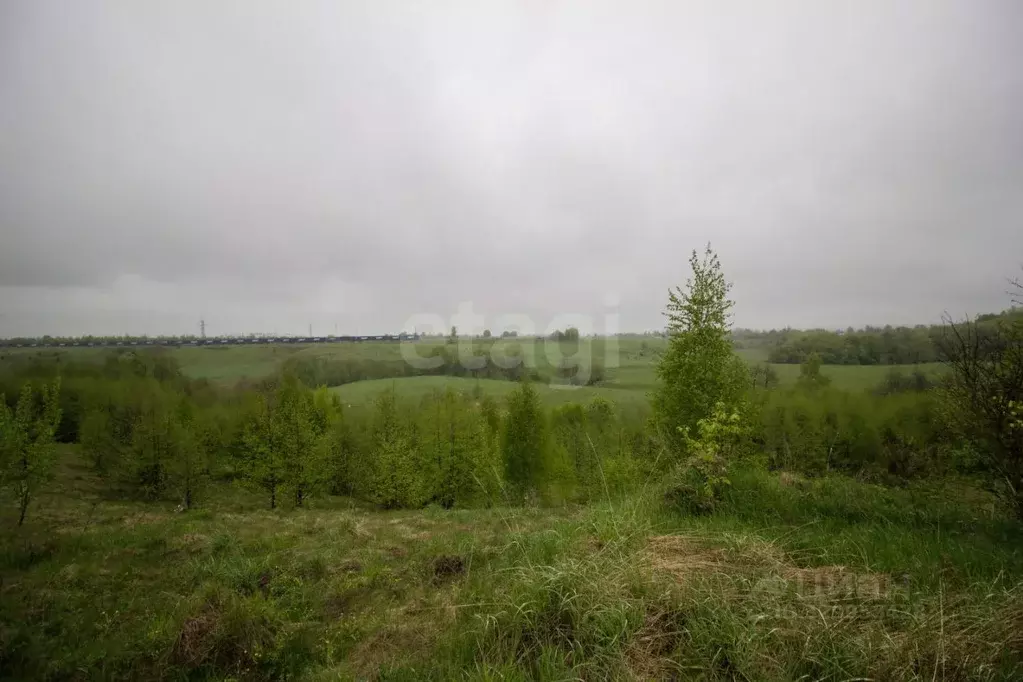 Участок в Калужская область, Калуга городской округ, с. Росва  (23.0 ... - Фото 1