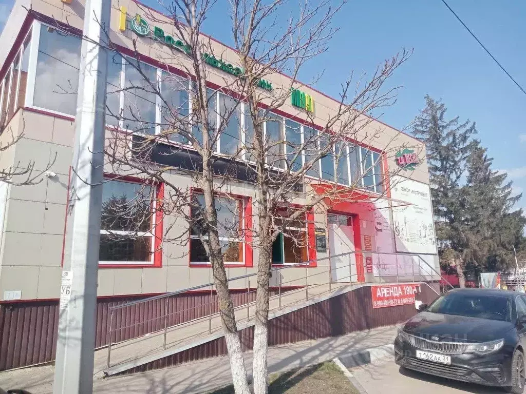 Торговая площадь в Белгородская область, Волоконовка рп ул. Ленина, 46 ... - Фото 1