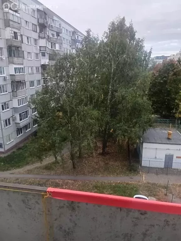 1-комнатная квартира: Пенза, проспект Строителей, 134 (27 м) - Фото 1