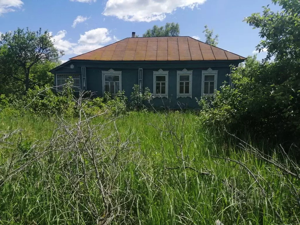 Село Новоберезово Рязанской Области Сасовского Района Фото