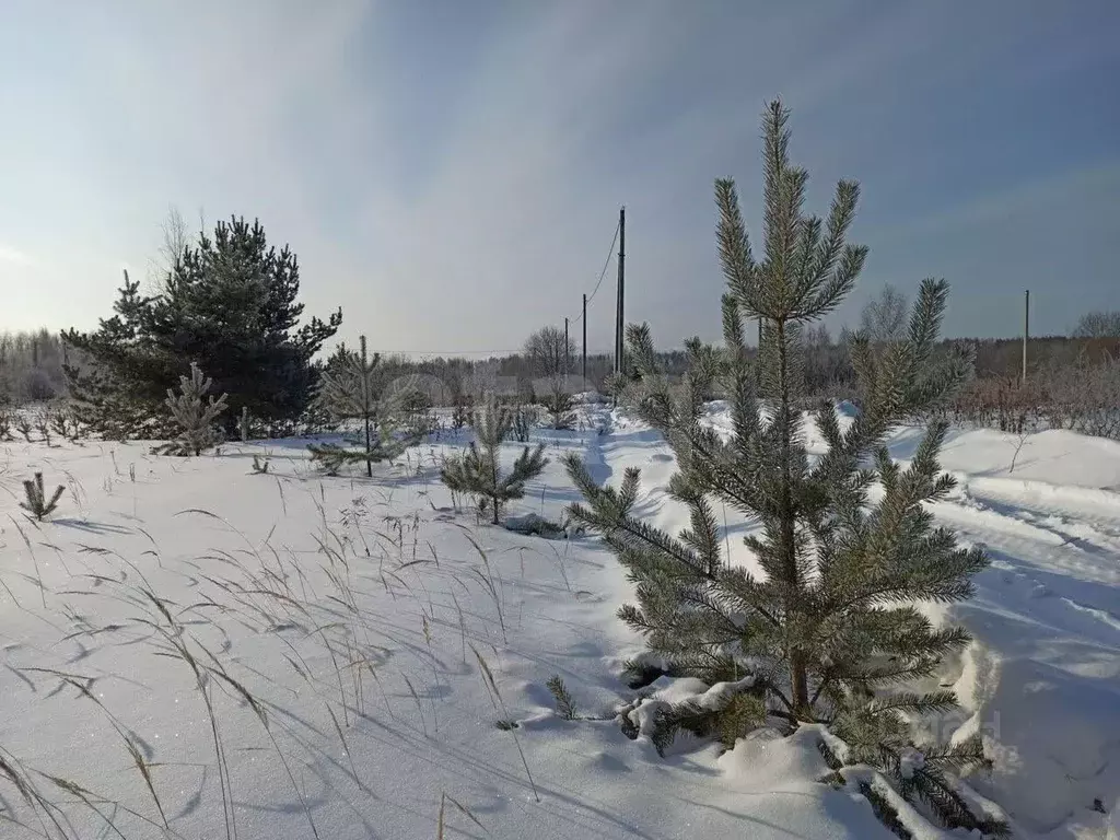 Участок в Костромская область, Кострома Соколиное Гнездо кп,  (10.0 ... - Фото 1