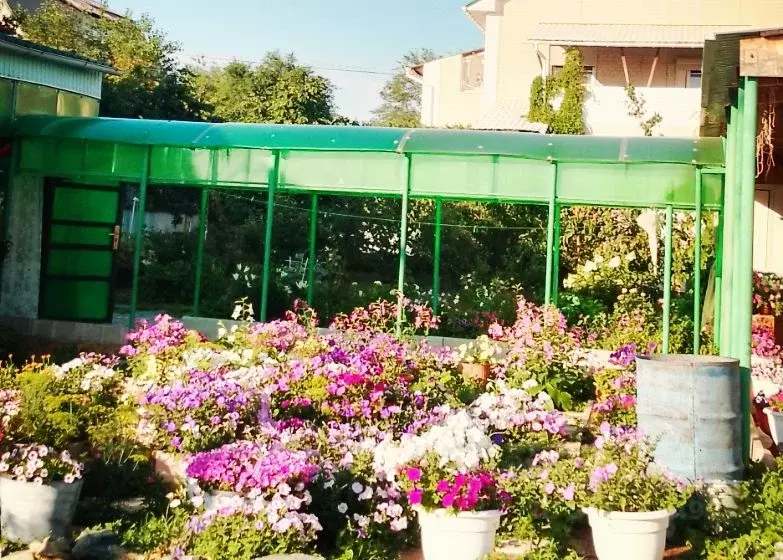 Дом в Оренбургская область, Орск пос. ОЗТП, ул. Николаевская (55 м) - Фото 2