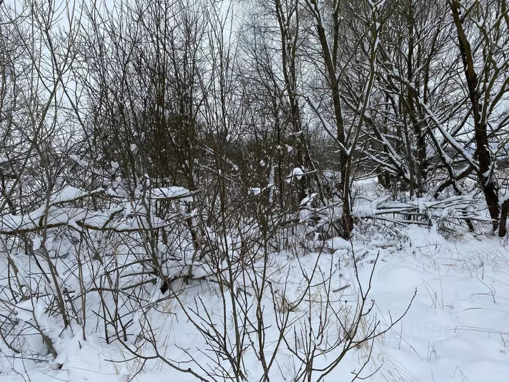 Участок в Московская область, Клин городской округ, д. Еросимово  ... - Фото 0