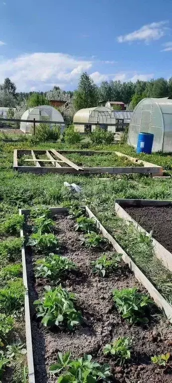 Дом в Свердловская область, Березовский муниципальный округ, № 54 КС, ... - Фото 2