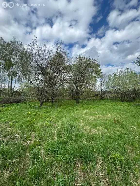 Участок в Бор, СНТ Садовник (7.2 м) - Фото 2