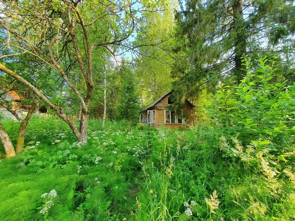 Участок в Ленинградская область, Гатчинский район, Вырица городской ... - Фото 1