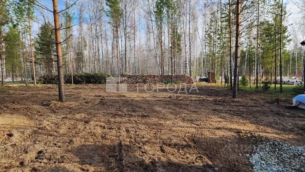 Участок в Новосибирская область, Новосибирский район, Кубовинский ... - Фото 1
