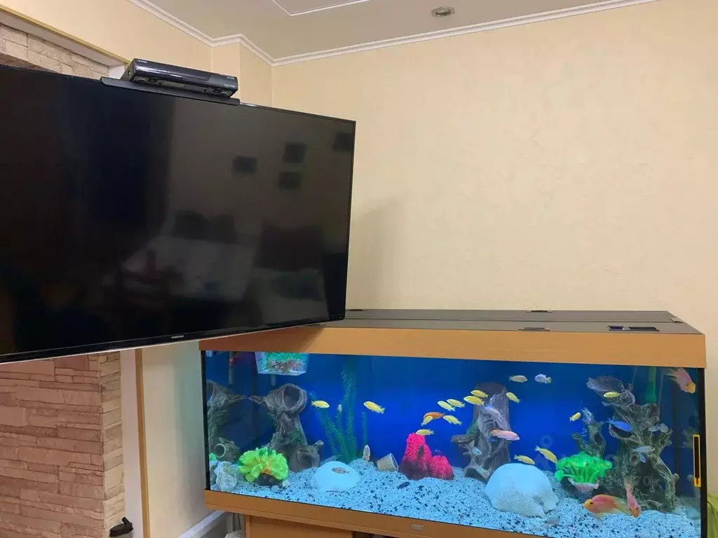 1-к кв. Тульская область, Тула ул. Михеева, 11А (55.0 м) - Фото 2