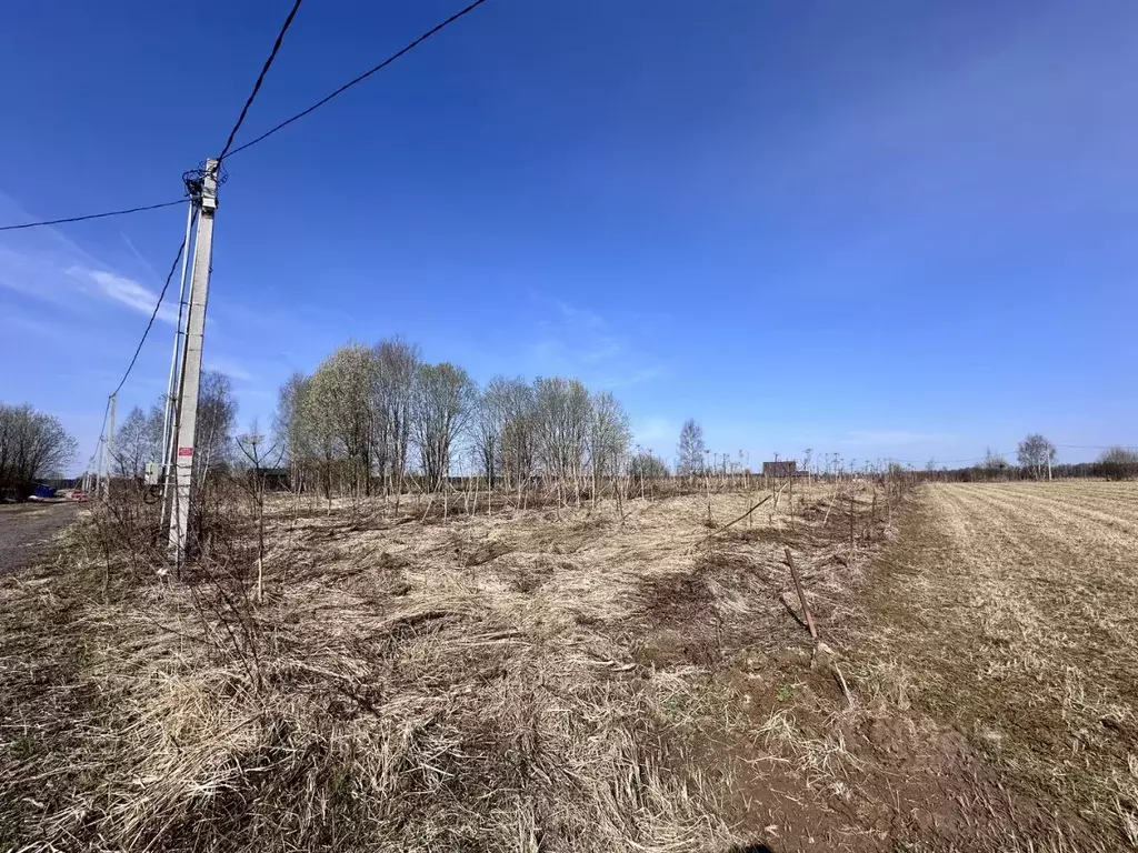 Участок в Московская область, Рузский муниципальный округ, д. Ватулино ... - Фото 2