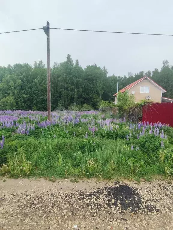Участок в Владимирская область, Киржачский муниципальный округ, ... - Фото 0