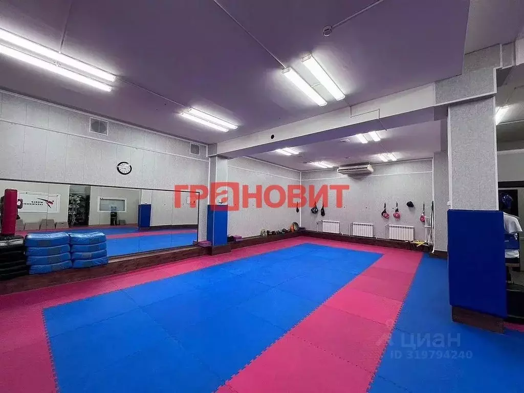 Помещение свободного назначения в Новосибирская область, Новосибирск ... - Фото 0