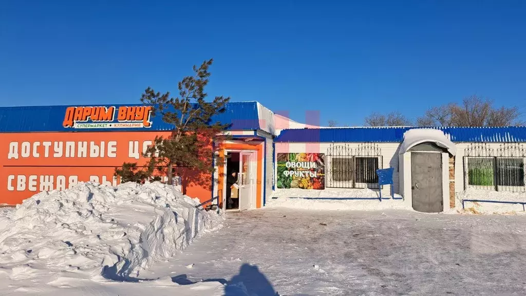 Торговая площадь в Омская область, Таврический район, с. Любомировка ... - Фото 1