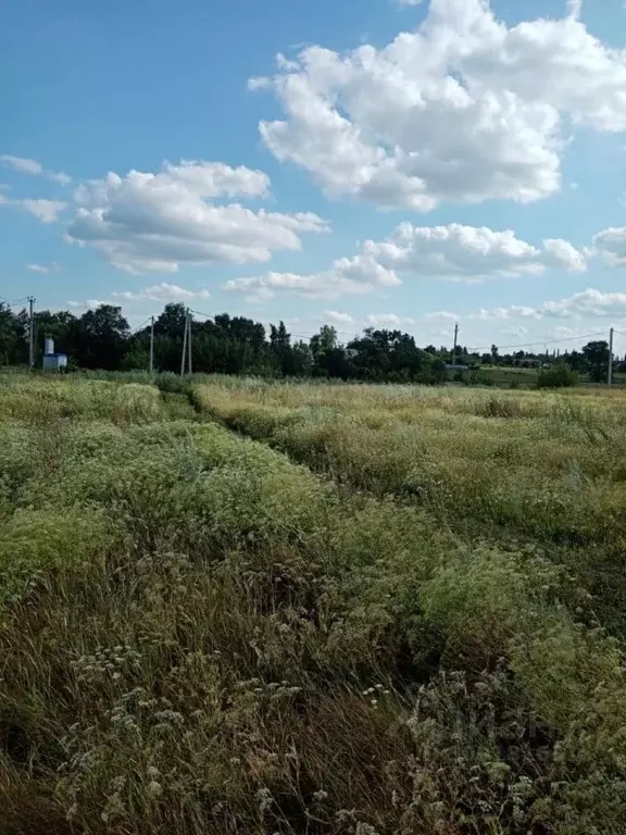 Участок в Воронежская область, Новоусманский район, с. Орлово ул. ... - Фото 0