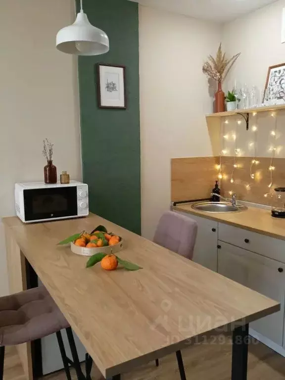 Студия Псковская область, Псков Овсище исторический район, проезд ... - Фото 2