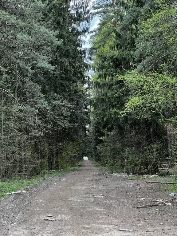 Участок в Московская область, Одинцовский городской округ, д. Бутынь  ... - Фото 1