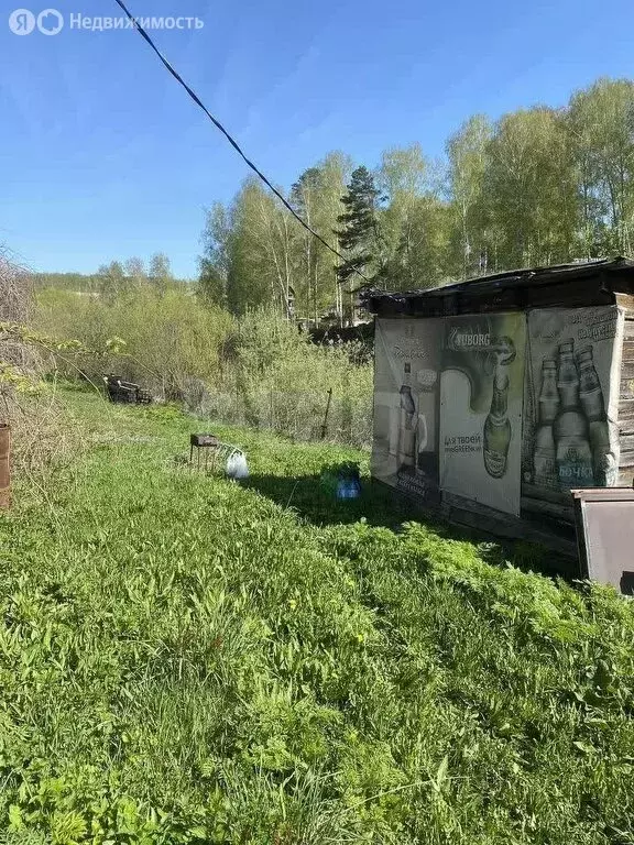 Участок в Раздольненский сельсовет, садоводческое товарищество Медик ... - Фото 0