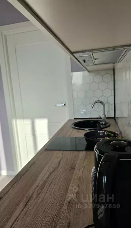 Студия Санкт-Петербург пос. Шушары, просп. Старорусский, 5к2 (20.0 м) - Фото 2