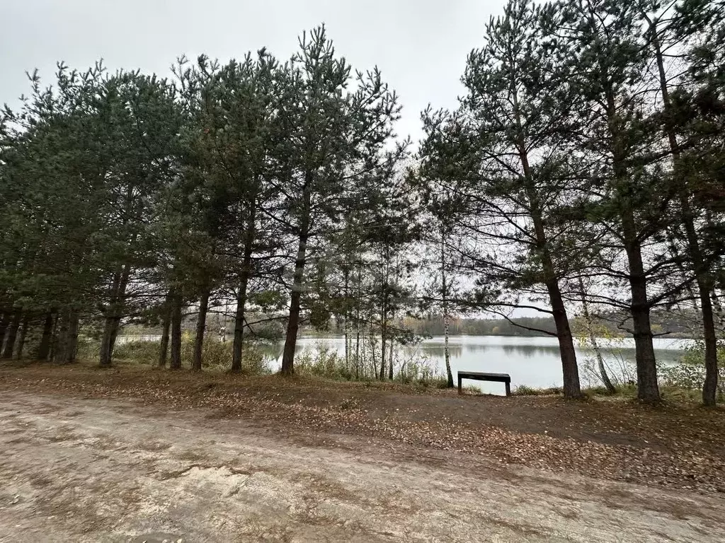 Участок в Брянская область, Брянский район, Новодарковичское с/пос, д. ... - Фото 1