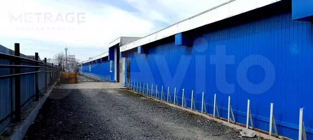 Сдам складское помещение, 2700 м - Фото 0